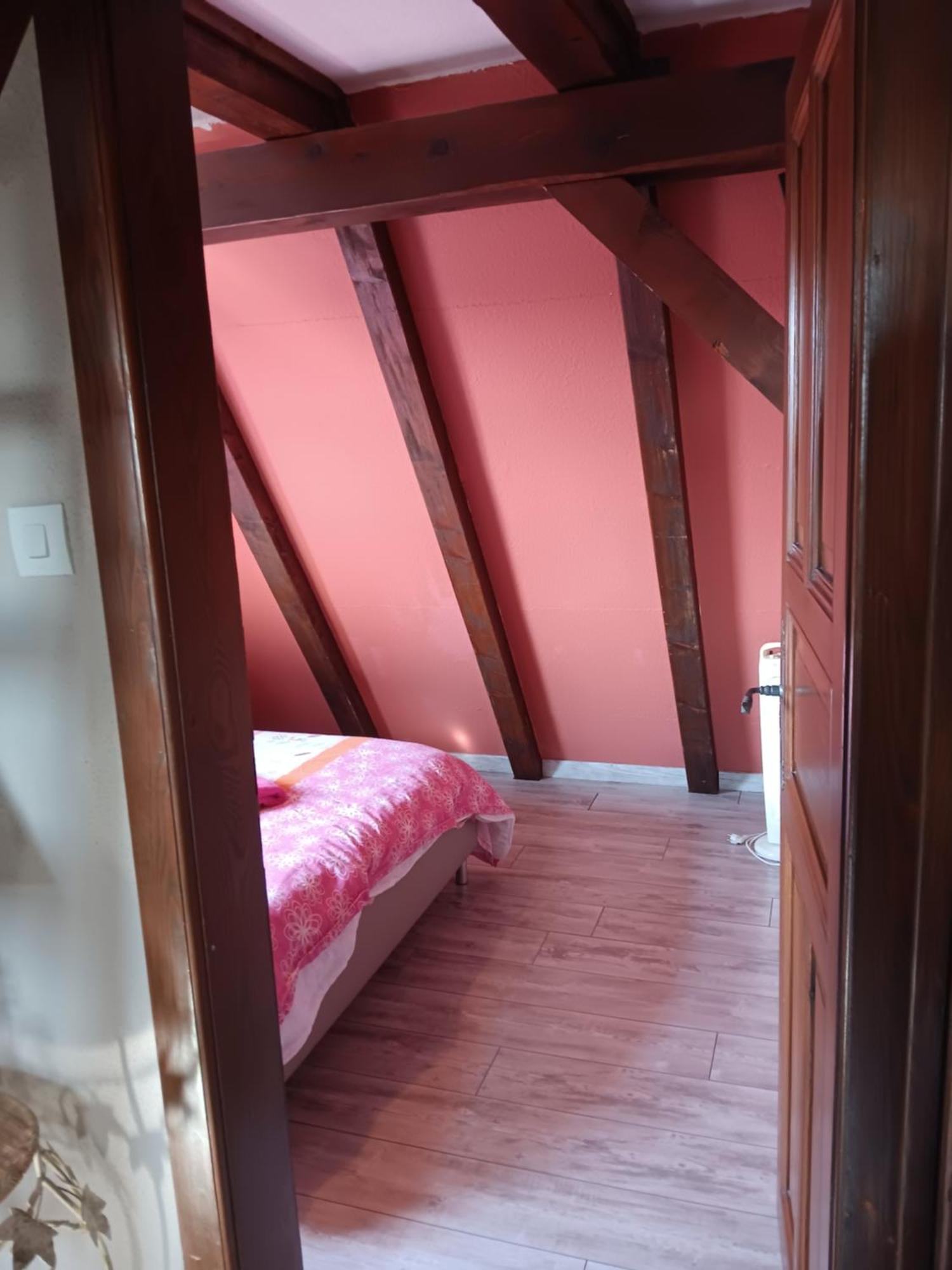 Gite Les Papillons Ribeauvillé Cameră foto