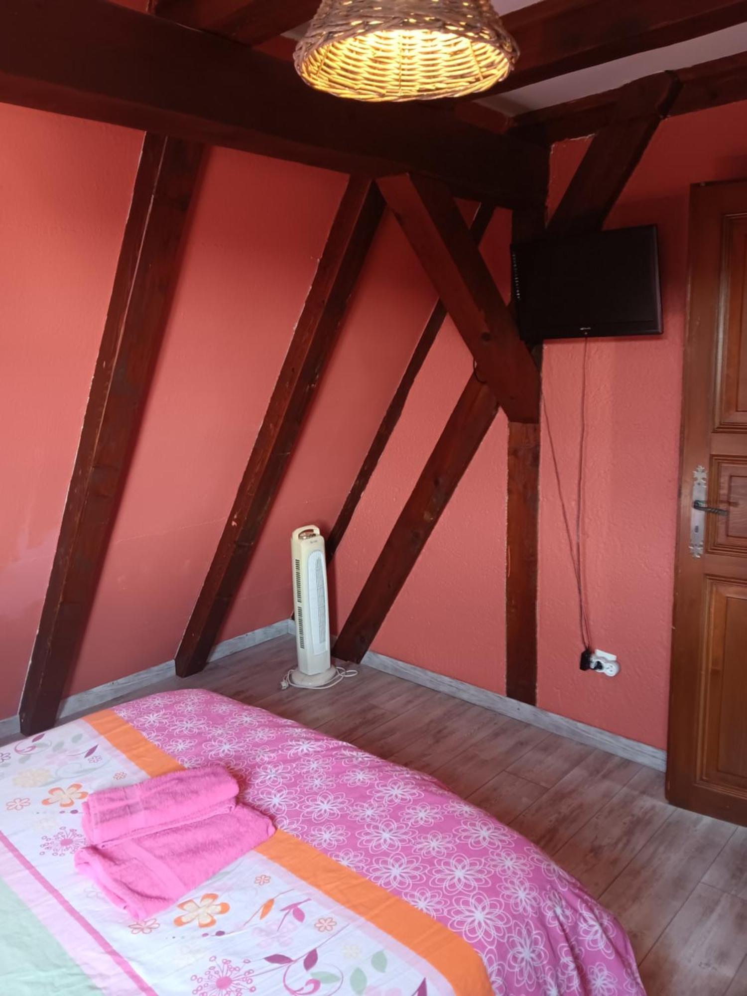 Gite Les Papillons Ribeauvillé Cameră foto